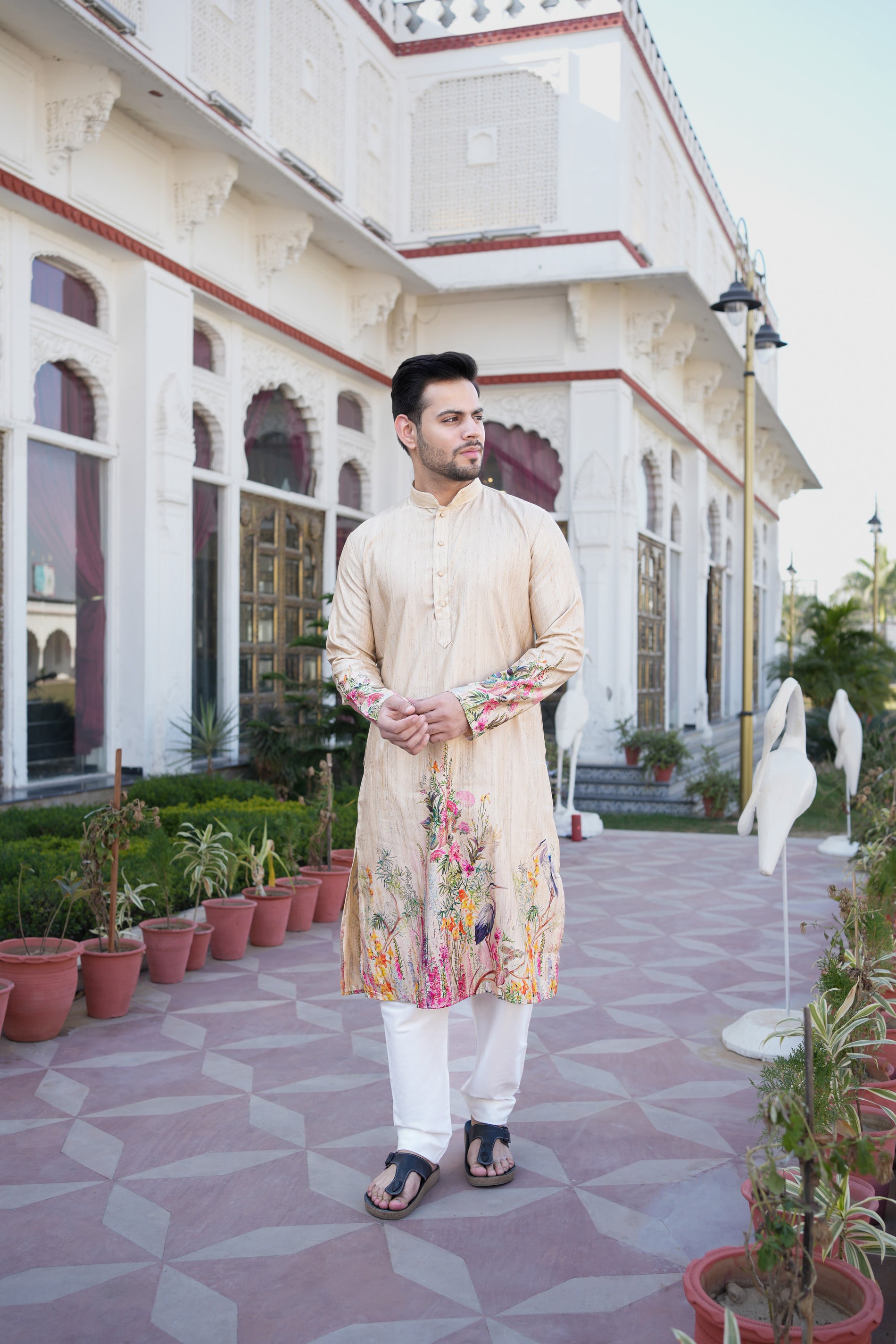 Traditional Dark Beige Kurta
