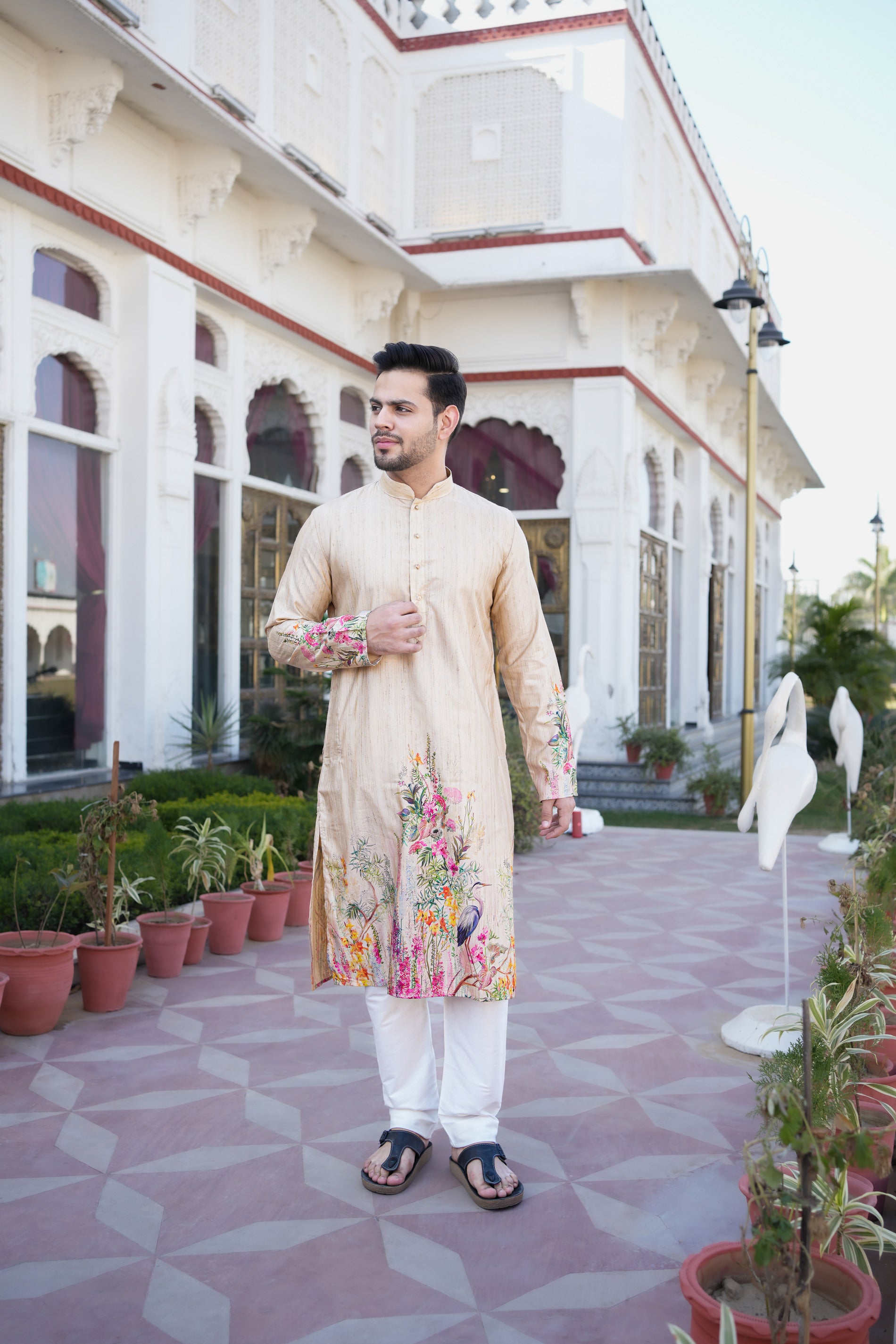Traditional Dark Beige Kurta