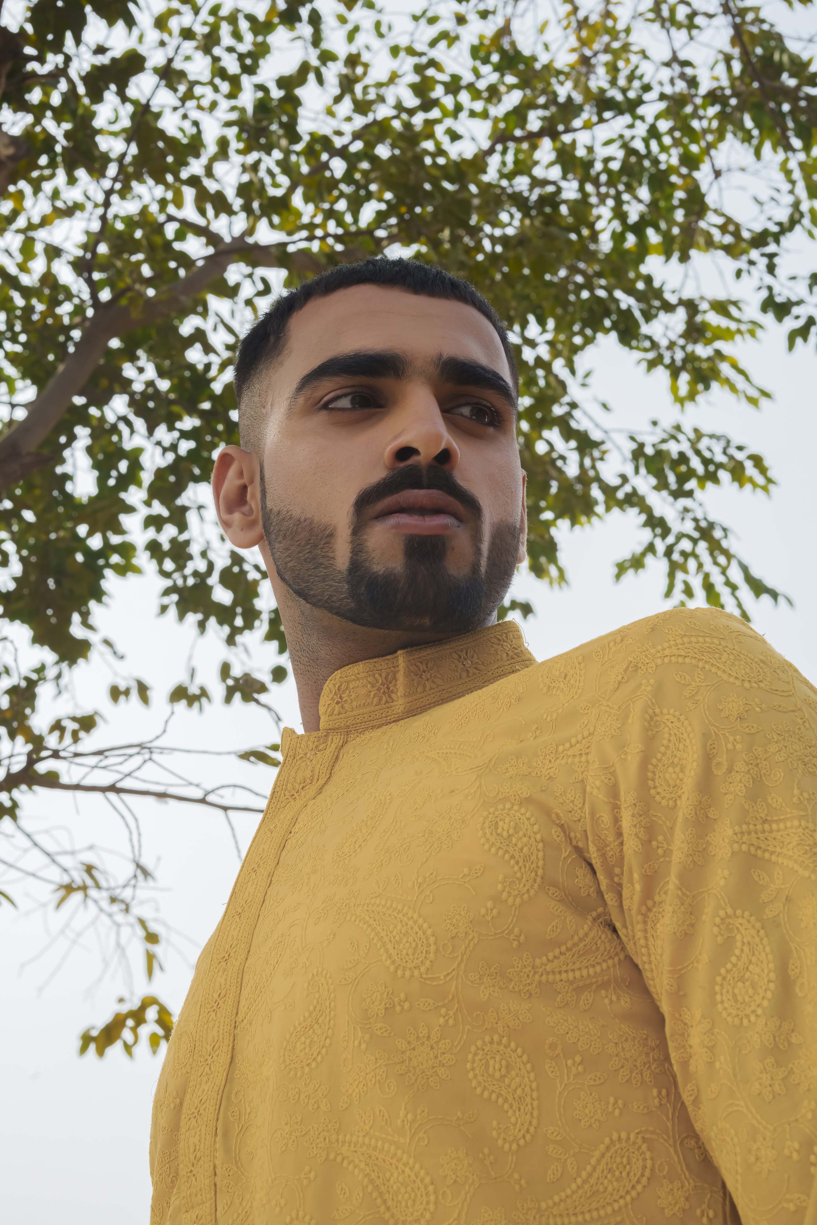 Traditional Mustard Chikankari Kurta